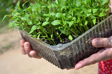 Similar image 655340