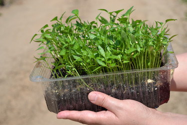 Similar image 655341