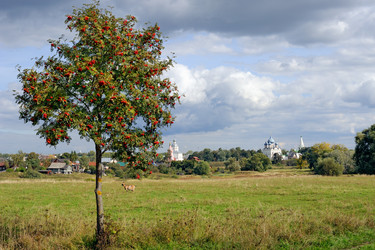 Similar image 655355