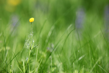 Similar image 655356