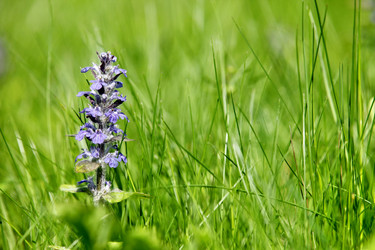 Similar image 655365