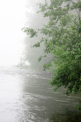 Similar image 655367