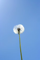 Similar image 655383