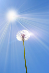 Similar image 655389