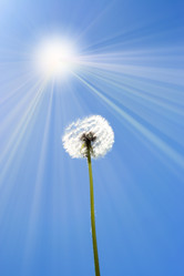 Similar image 655393