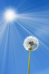 Similar image 655399