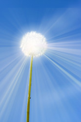 Similar image 655400