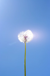 Similar image 655402