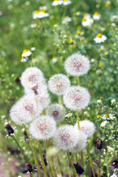 Similar image 655420