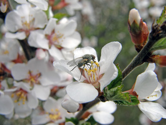 Similar image 655494