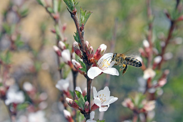 Similar image 655495