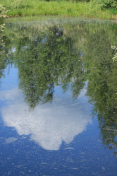 Similar image 655496