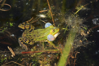 Similar image 655505