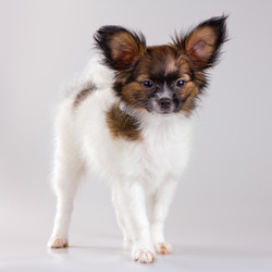 Similar image 655508