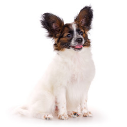 Similar image 655512