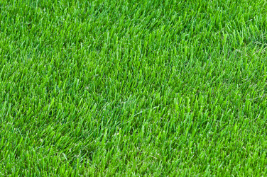 Similar image 655522