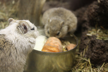 Similar image 655524