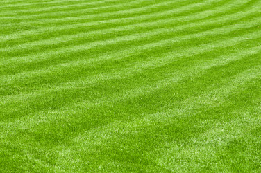 Similar image 655529