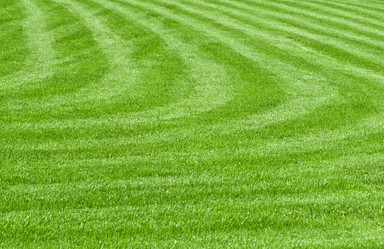 Similar image 655531