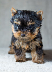 Similar image 655537