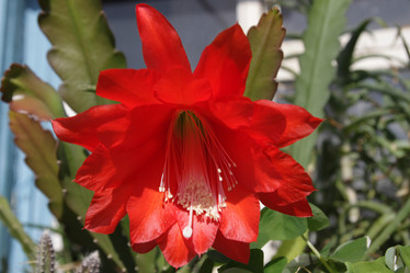 Similar image 655555