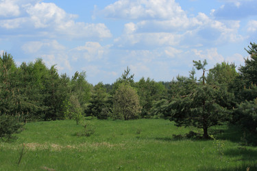 Similar image 655566