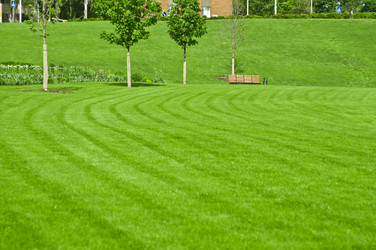 Similar image 655567