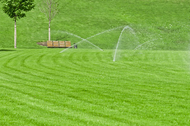 Similar image 655568