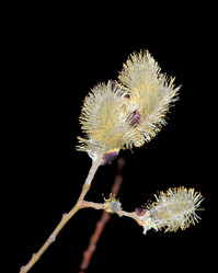 Similar image 655585