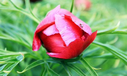 Similar image 655611