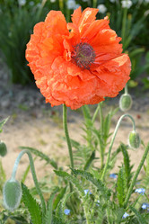 Similar image 655625