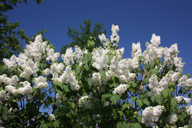 Similar image 655641