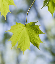 Similar image 655654