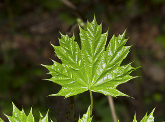 Similar image 655657