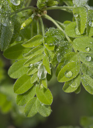 Similar image 655660