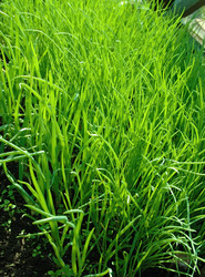 Similar image 655674