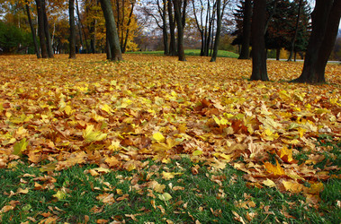 Similar image 655681