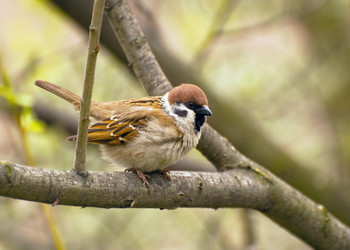 Similar image 655685