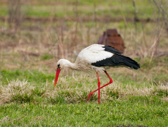 Similar image 655687