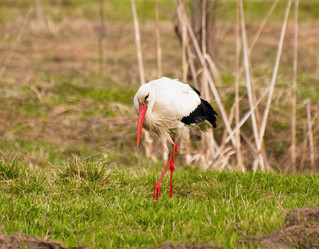 Similar image 655688