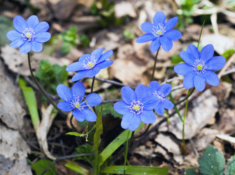 Similar image 655690