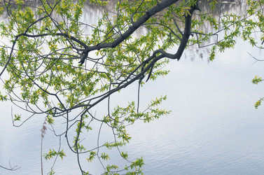 Similar image 655691