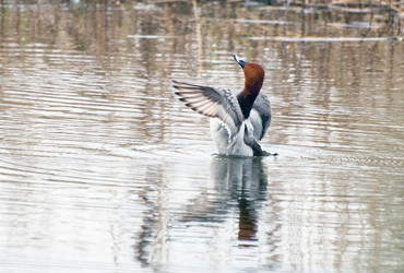 Similar image 655695