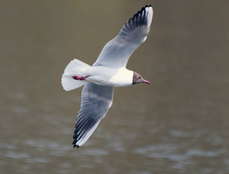 Similar image 655696