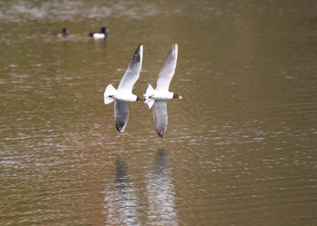 Similar image 655697