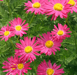 Similar image 655698