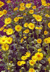 Similar image 655700