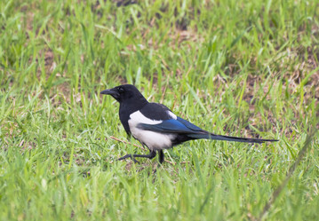 Similar image 655701