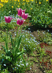 Similar image 655702