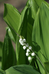 Similar image 655714